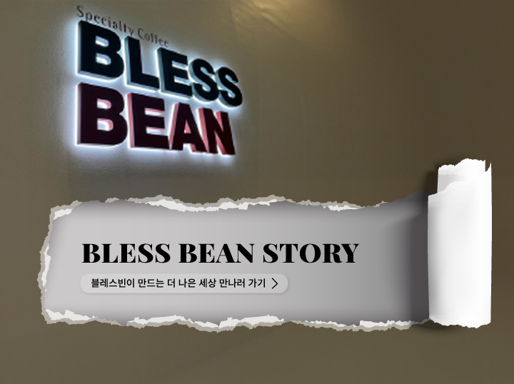 블레스빈 스토리